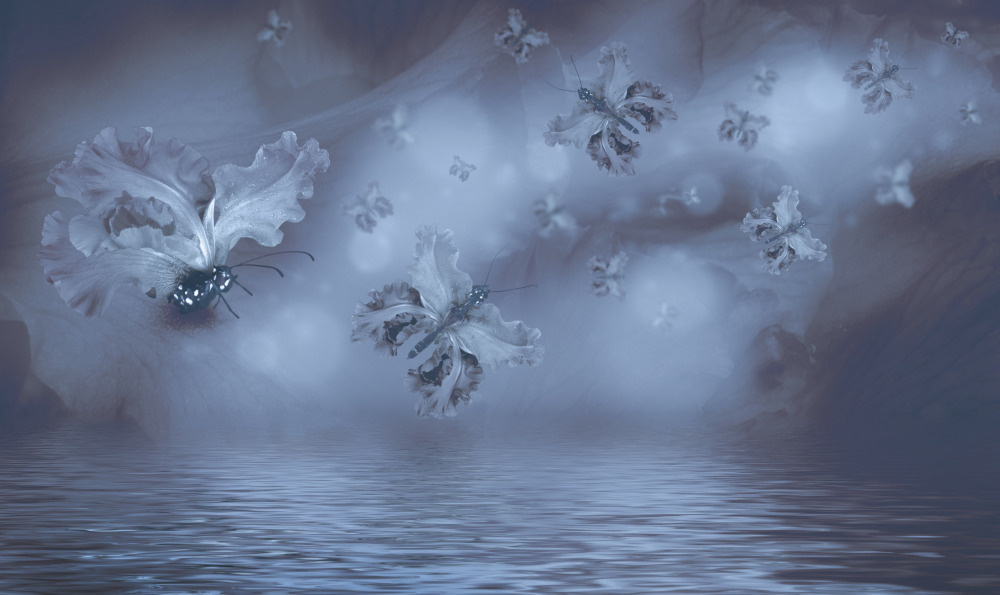 18 — бабочки