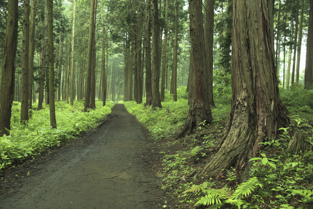 05 - природа и пейзажи