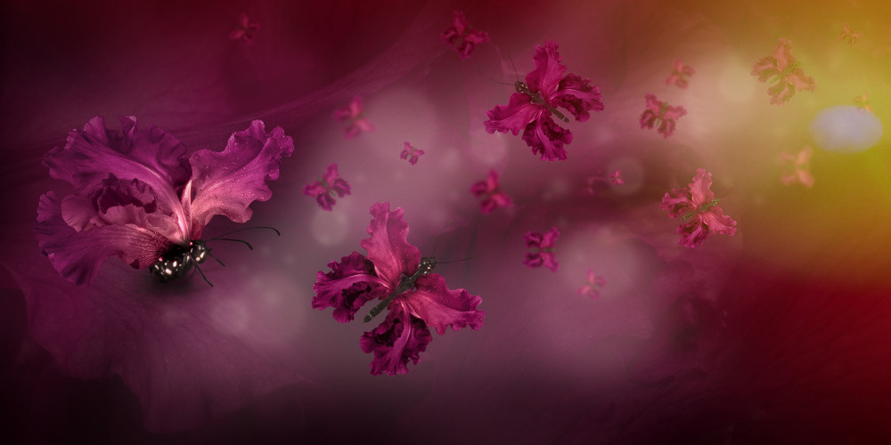 18 — бабочки