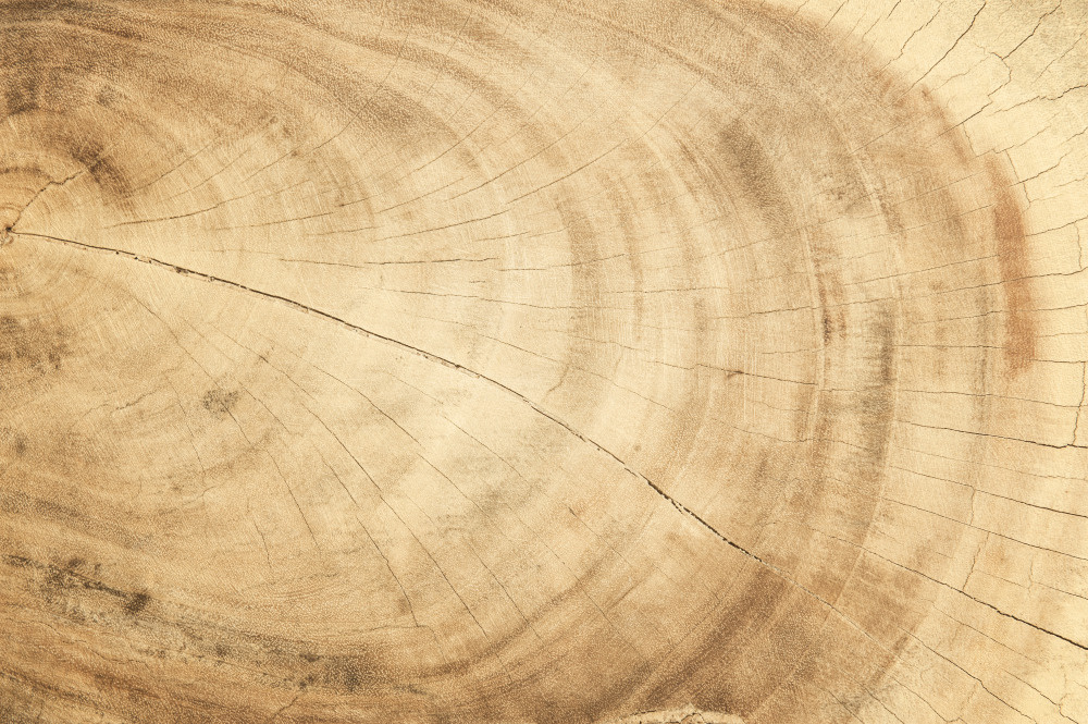 14 — деревянные фоны