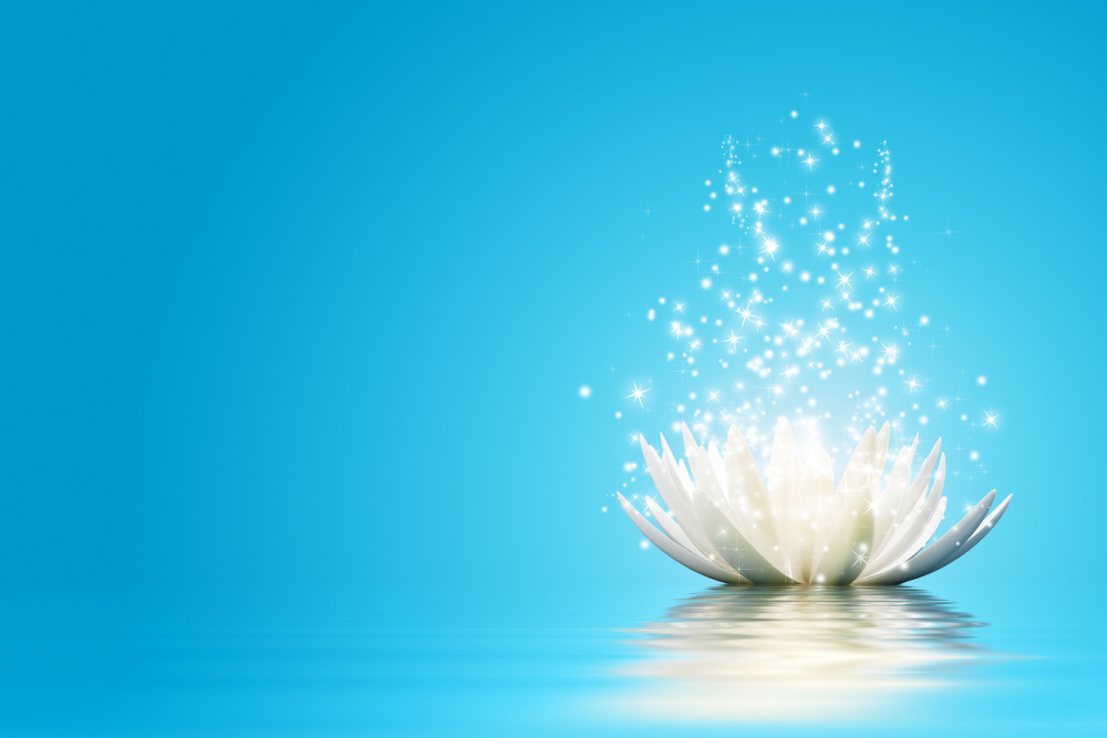 03 — цветы — растения — фрукты