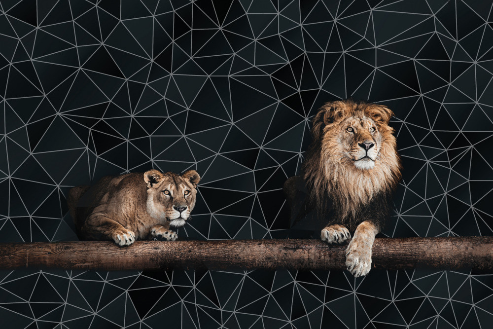 04 — животный и водный мир