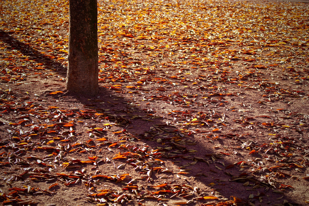 05 - природа и пейзажи