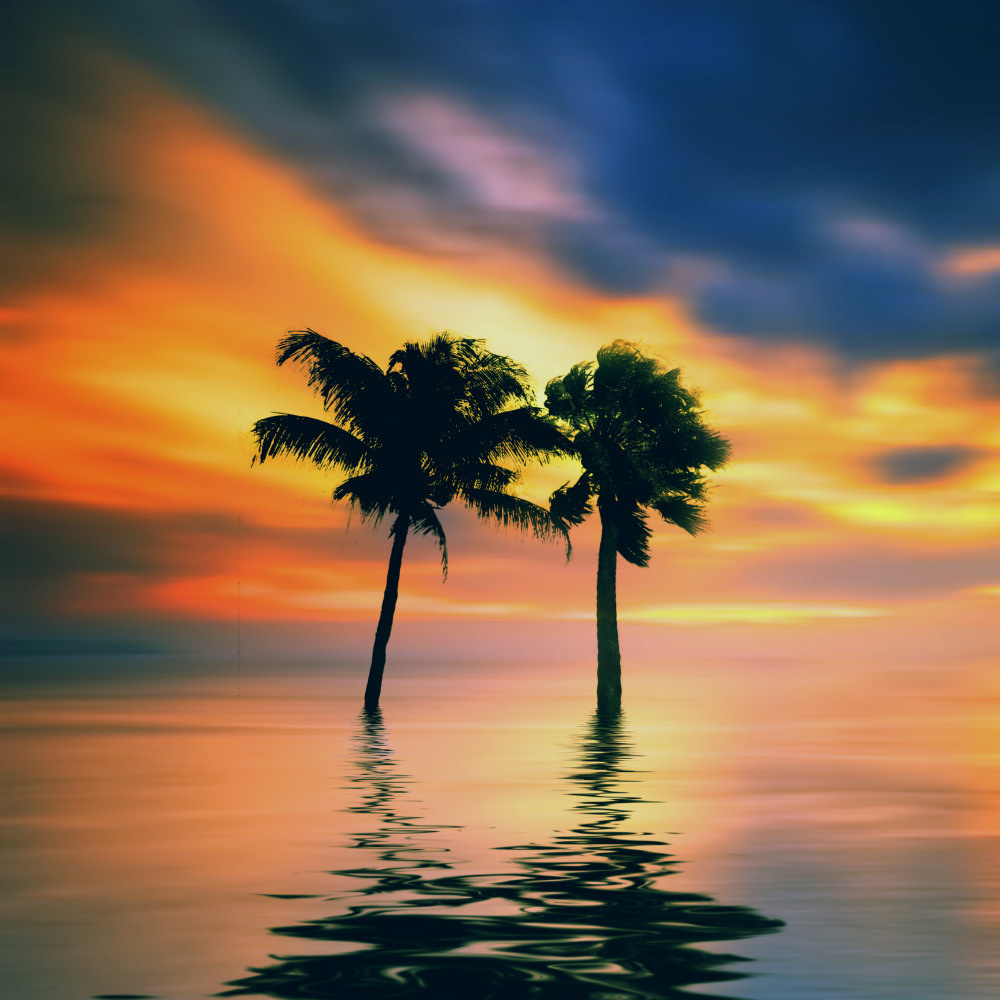 05 - природа и пейзажи