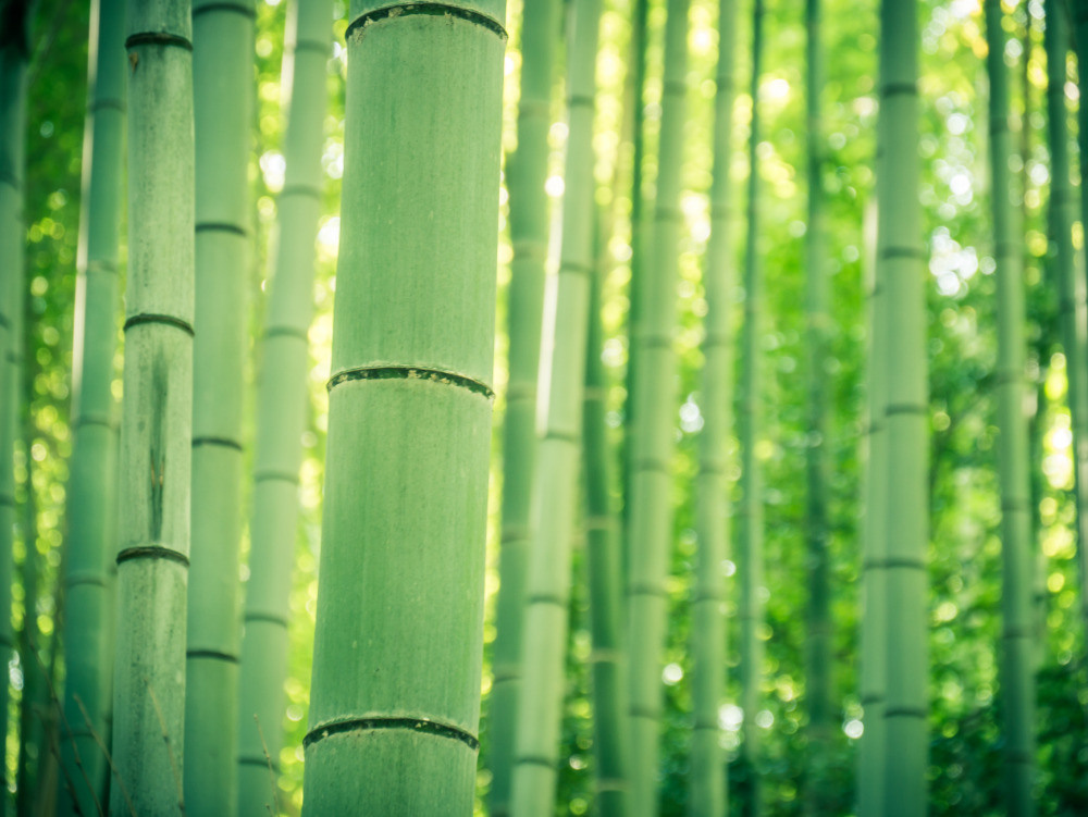 05 - природа и пейзажи