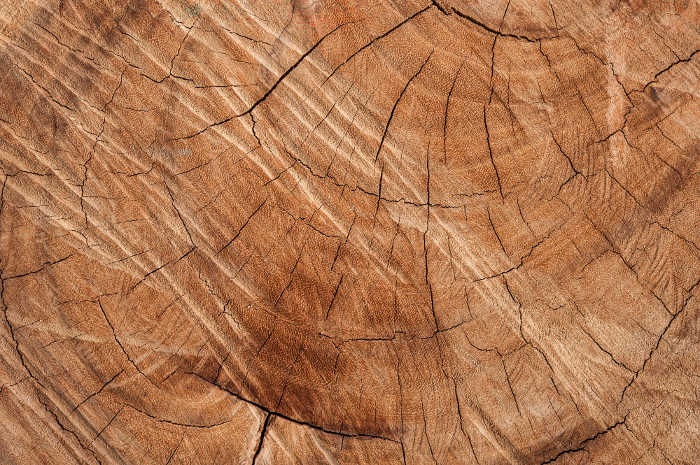 14 — деревянные фоны