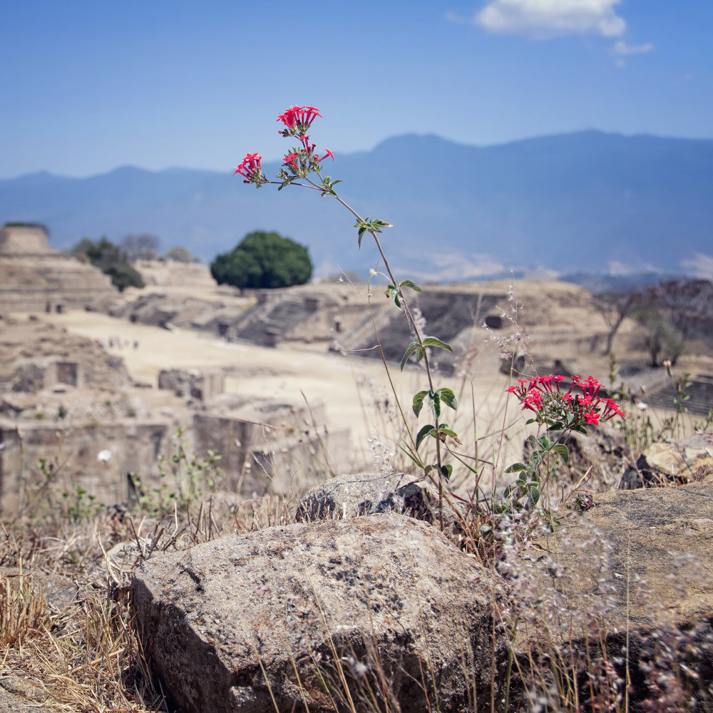 01 — города и архитектура