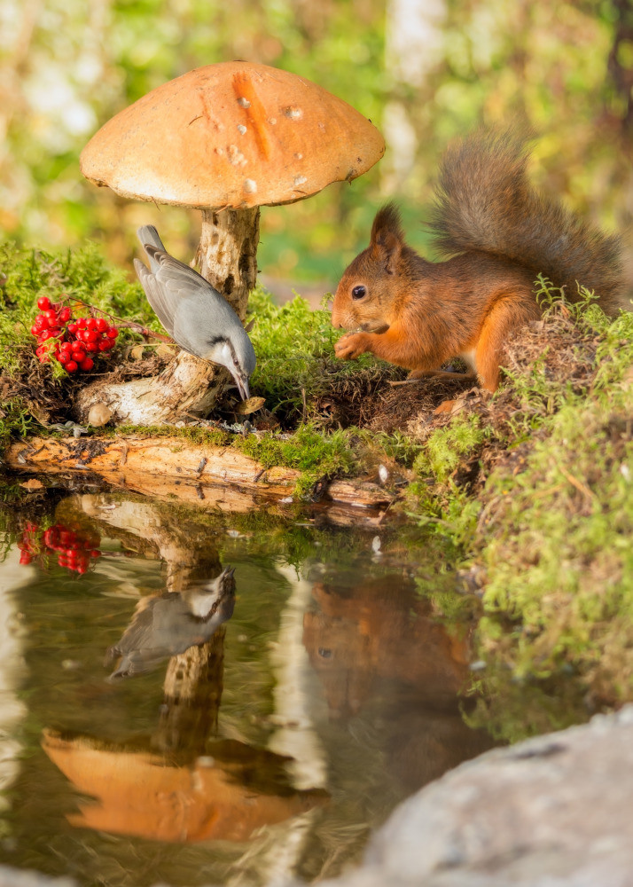 04 — животный и водный мир