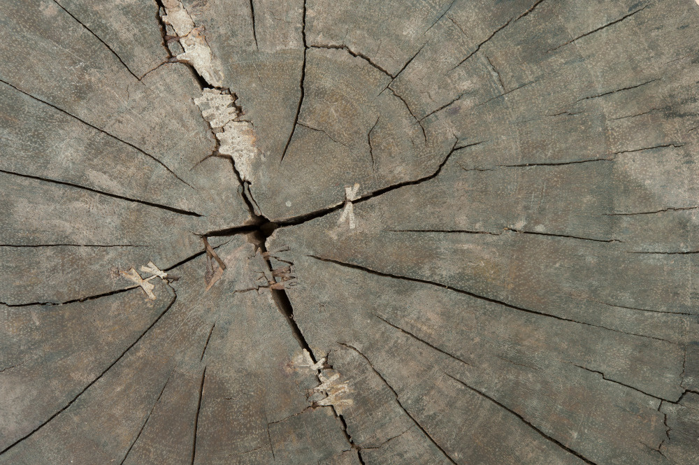 14 — деревянные фоны