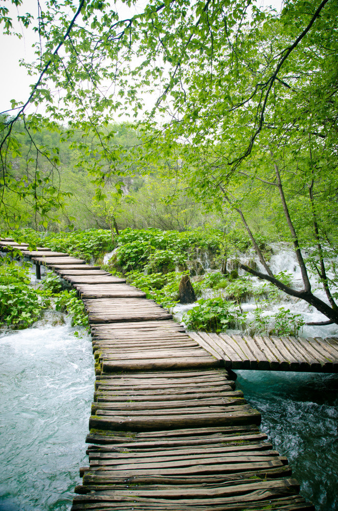 05 - природа и пейзажи