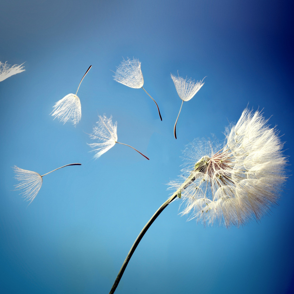 05 - природа и пейзажи