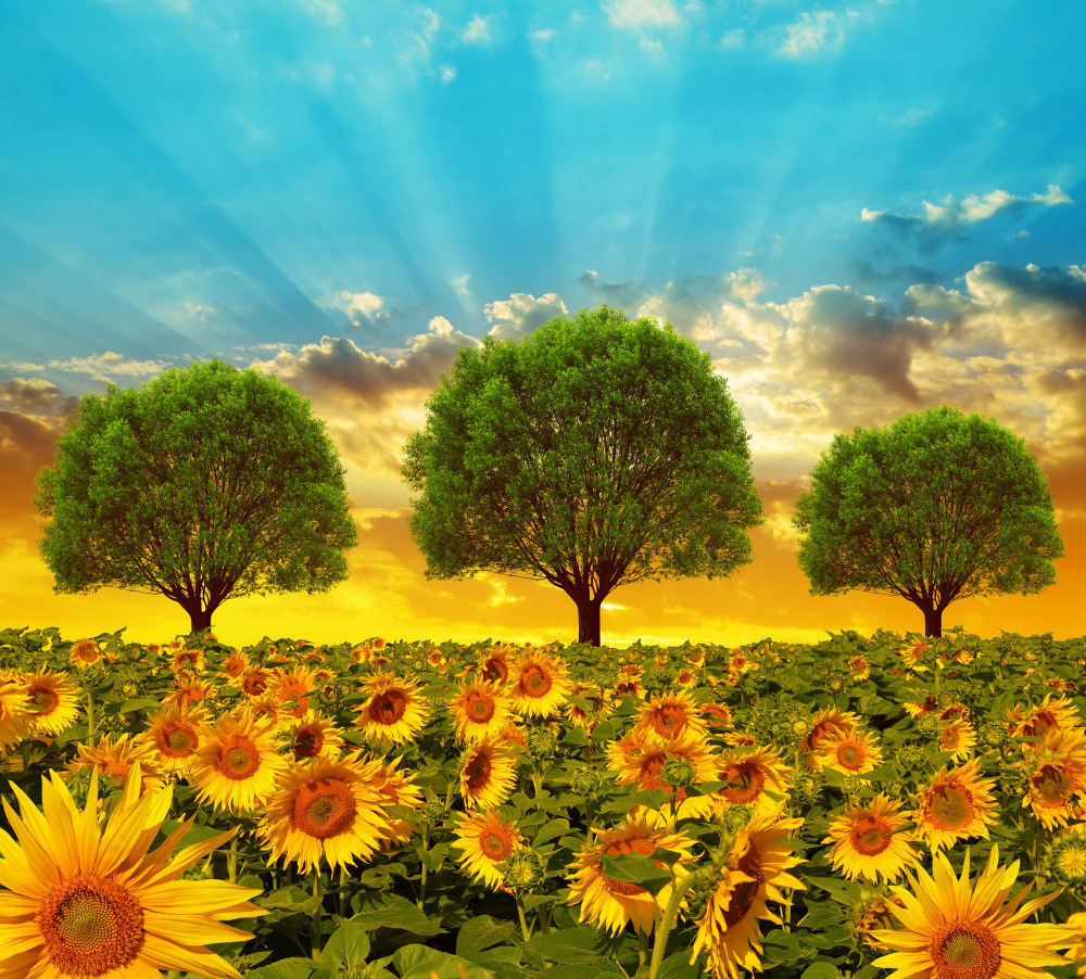 05 - природа и пейзажи