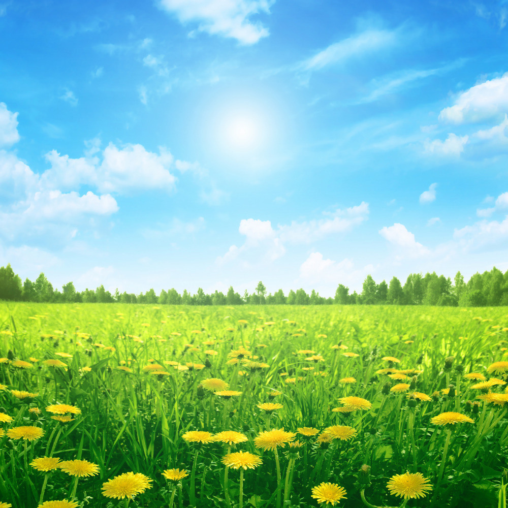 05 - природа и пейзажи