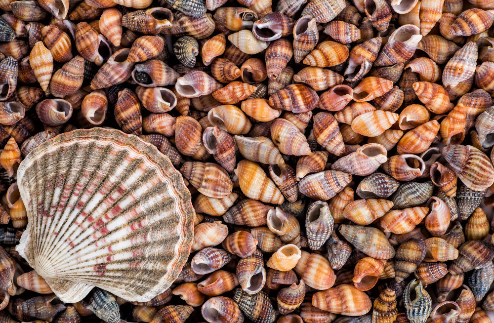 16 — разные фоны