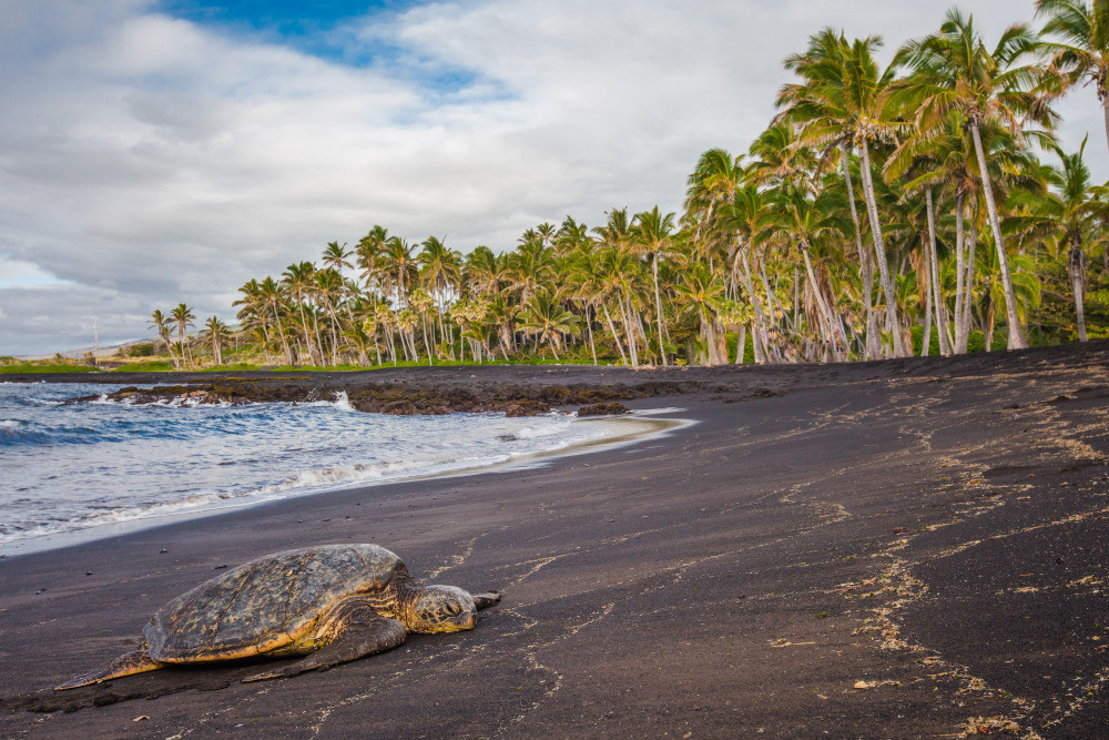 05 - природа и пейзажи