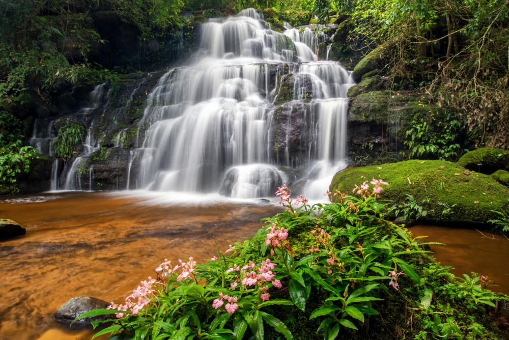 05 - природа и пейзажи