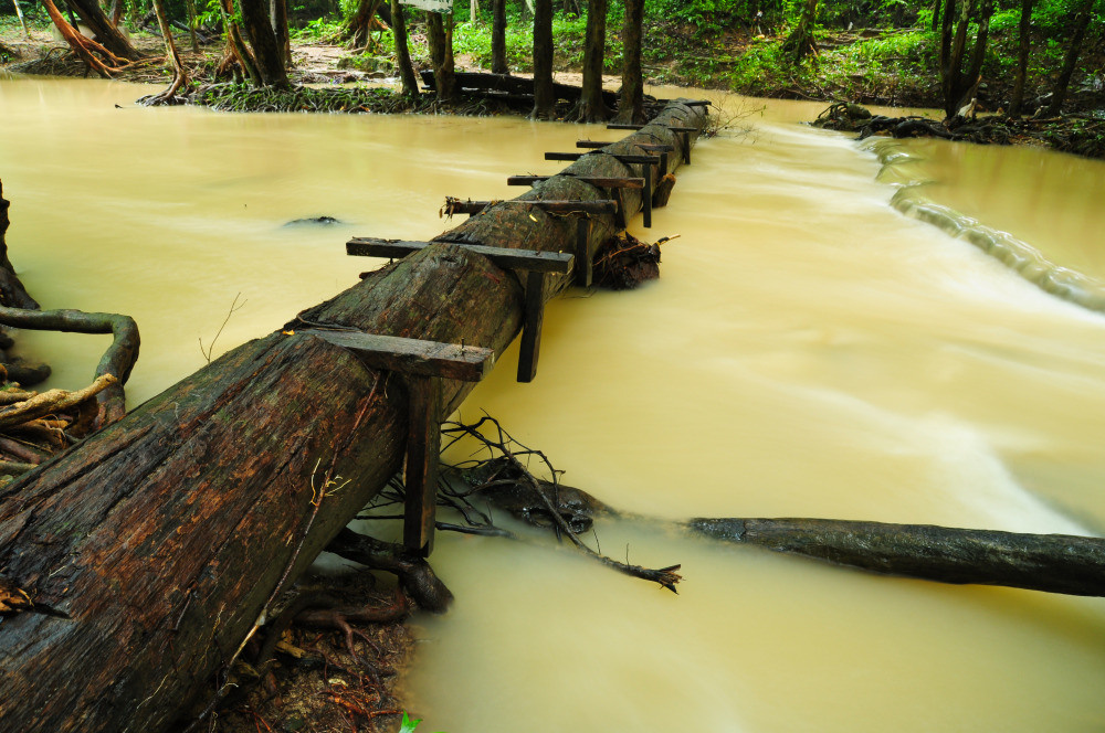 05 - природа и пейзажи