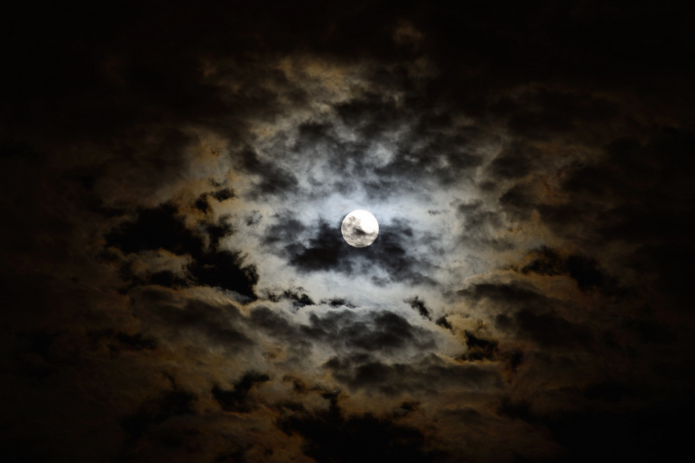 05 - природа и пейзажи