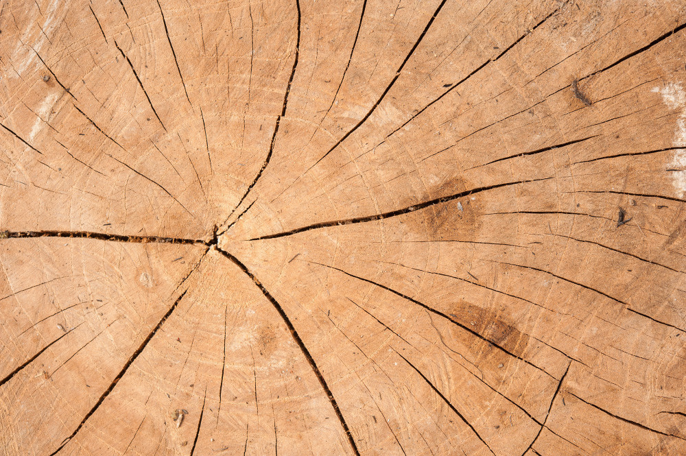 14 — деревянные фоны