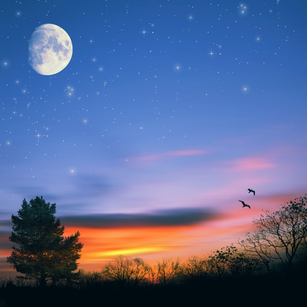 05 - природа и пейзажи