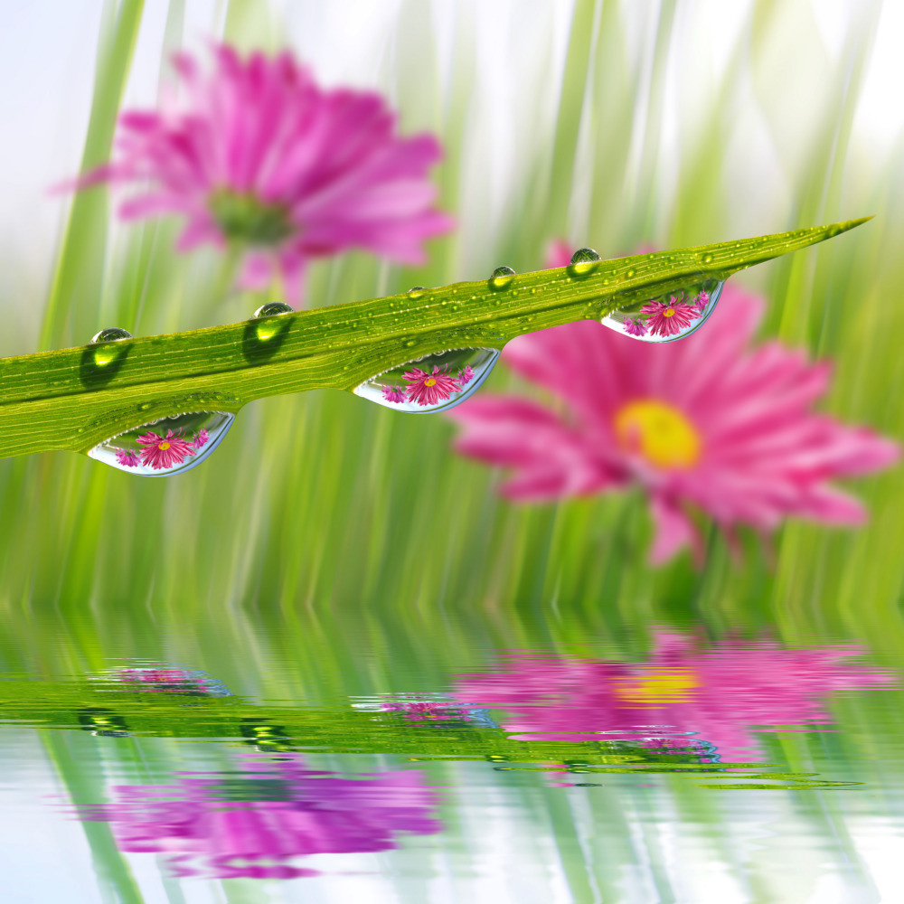 05 - природа и пейзажи