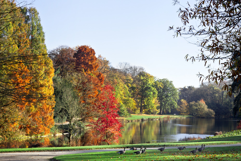 05 - природа и пейзажи