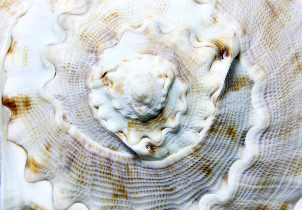 04 — животный и водный мир