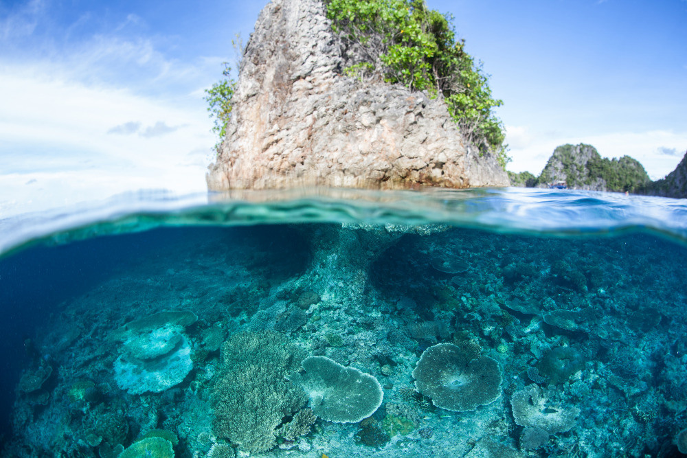 05 - природа и пейзажи