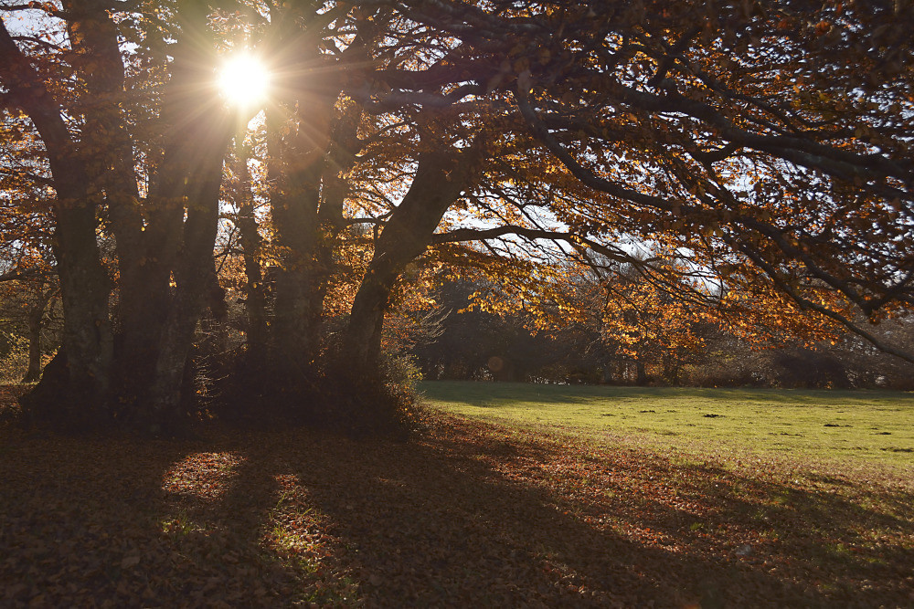 05 - природа и пейзажи