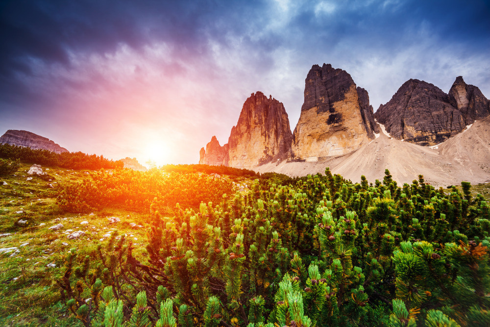 05 - природа и пейзажи