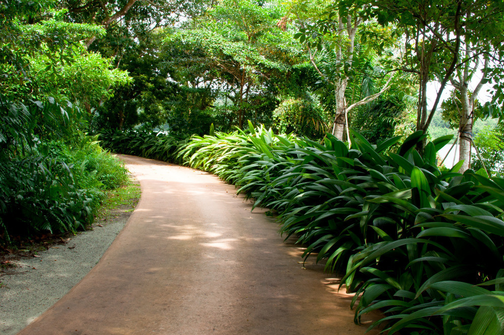 05 - природа и пейзажи