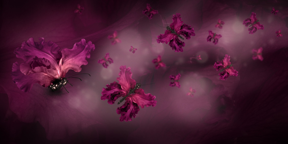 18 — бабочки