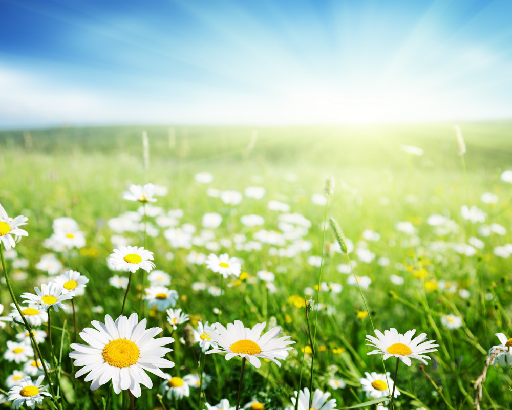 05 - природа и пейзажи