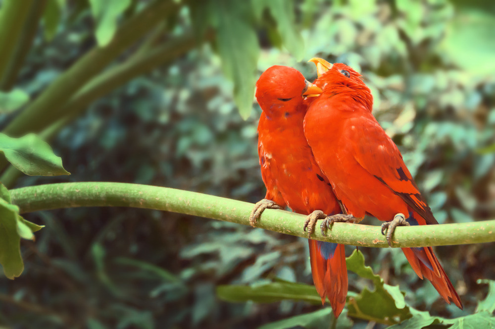 04 — животный и водный мир