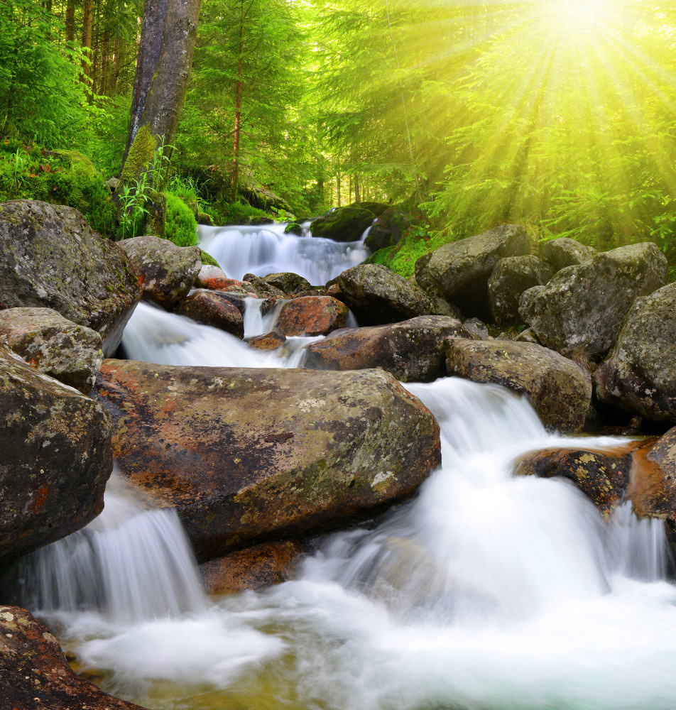 05 - природа и пейзажи