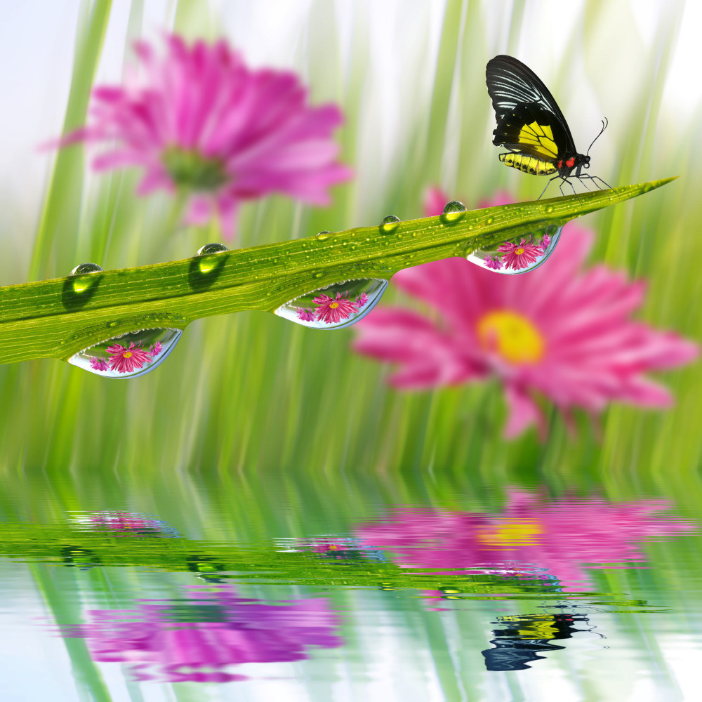 05 - природа и пейзажи