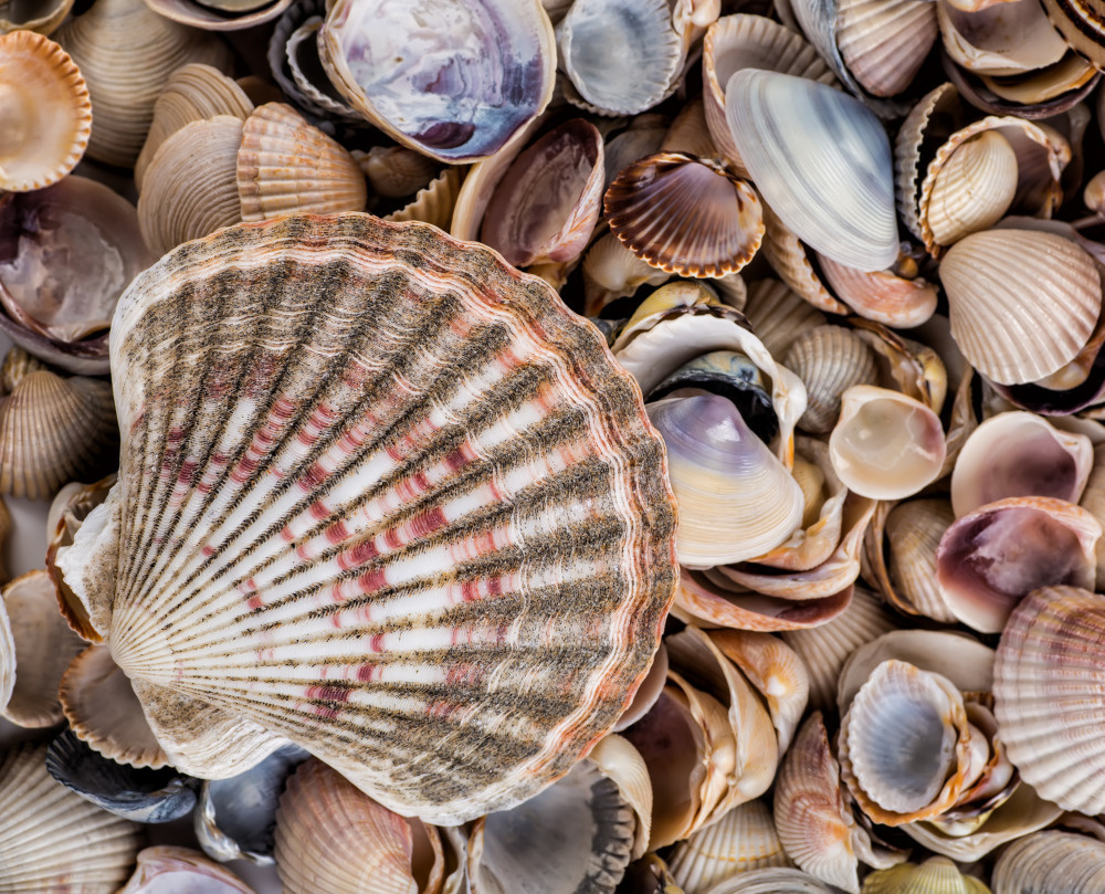 16 — разные фоны