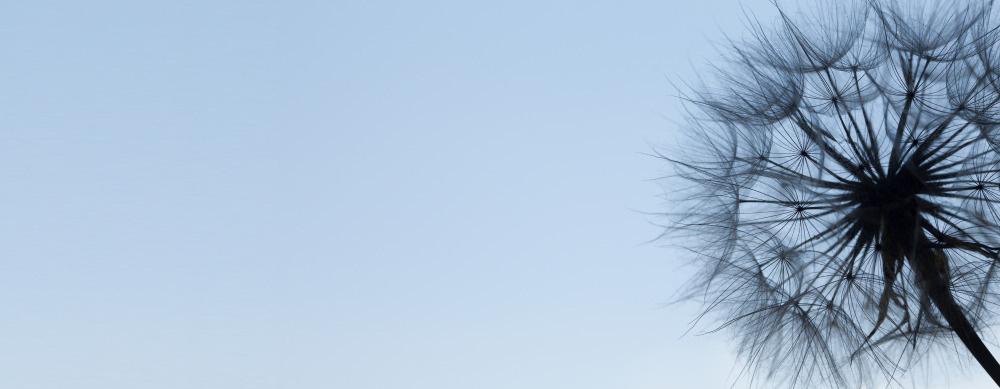 05 - природа и пейзажи