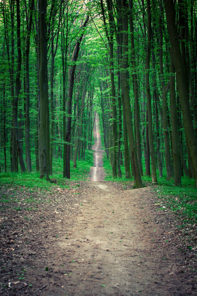 05 - природа и пейзажи