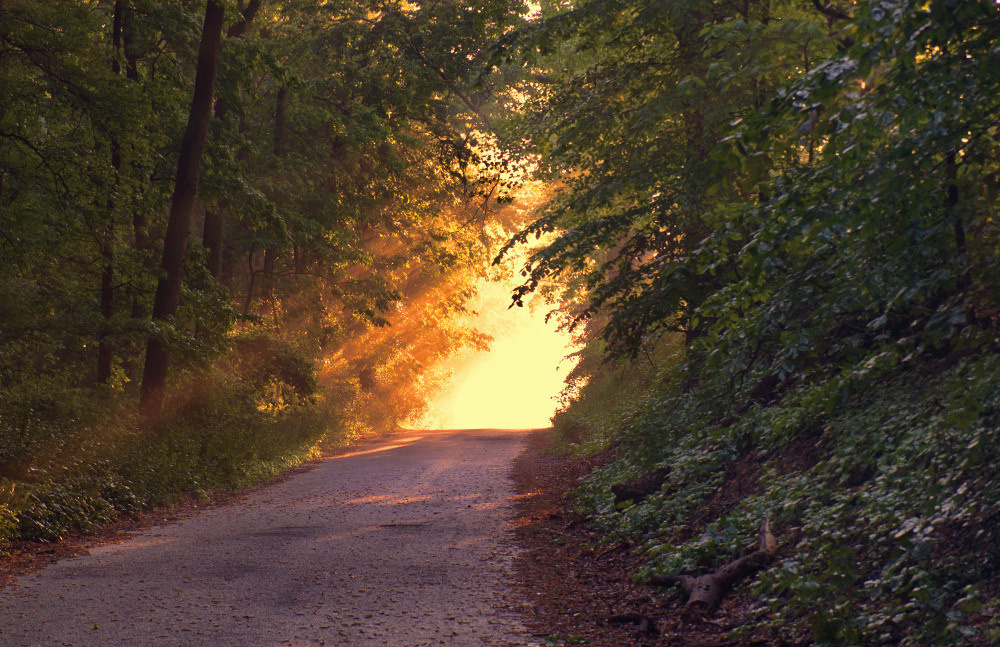 05 - природа и пейзажи