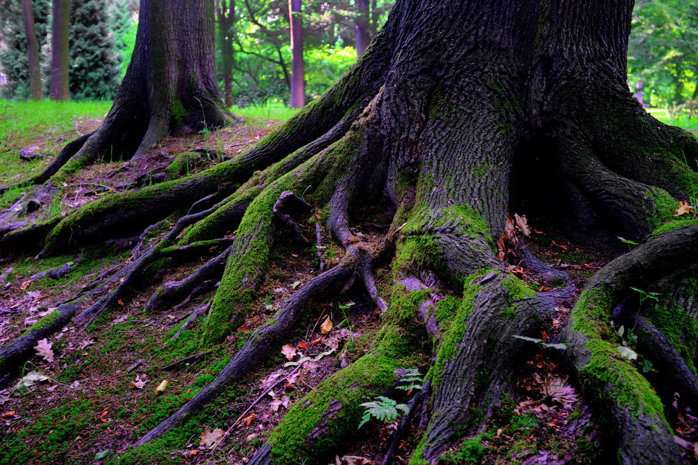 05 - природа и пейзажи