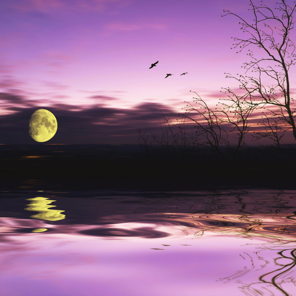 05 - природа и пейзажи