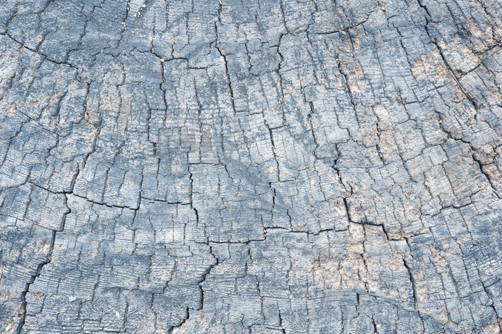 14 — деревянные фоны