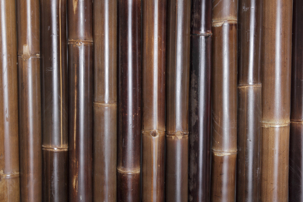 05 - природа и пейзажи