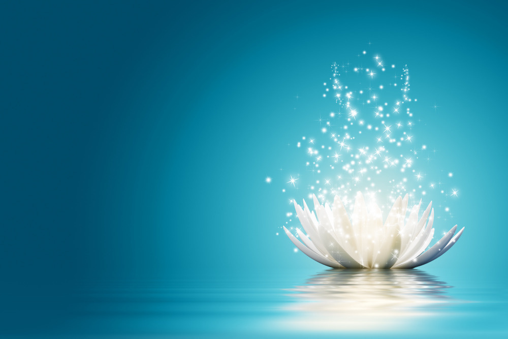 03 — цветы — растения — фрукты