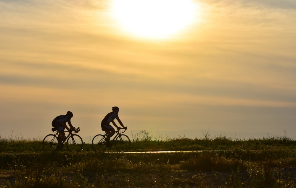 10 — бизнес — фитнесс — спорт — медицина — здоровье — красота — мода