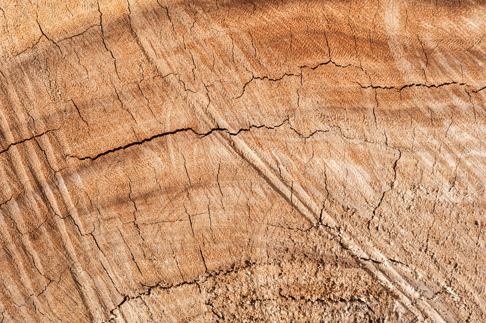 14 — деревянные фоны