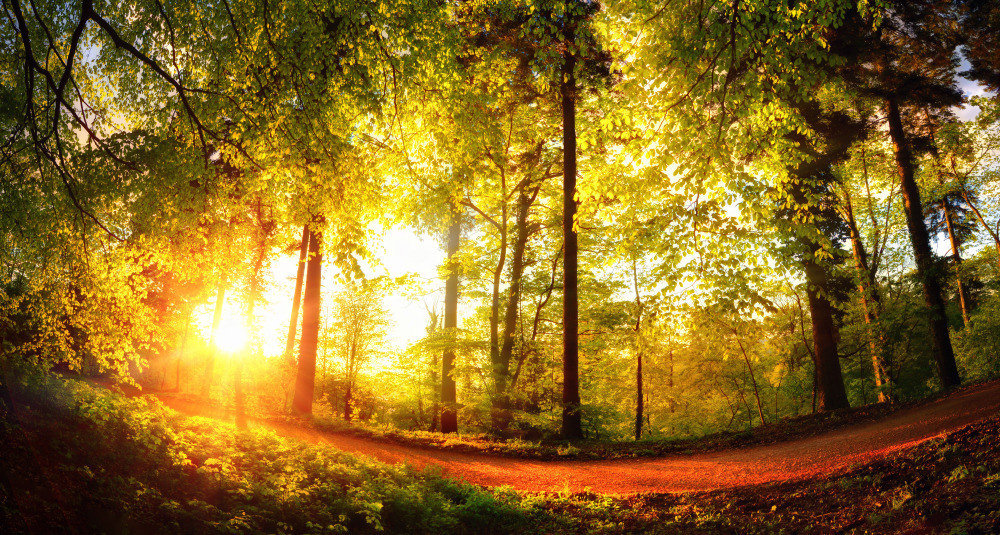 05 - природа и пейзажи