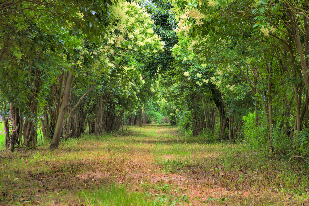 05 - природа и пейзажи