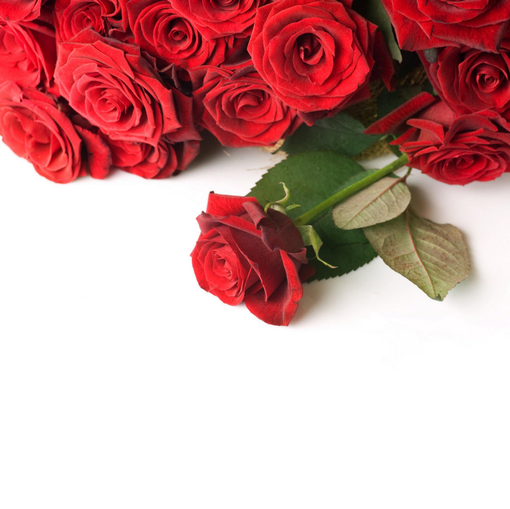 03 — цветы — растения — фрукты